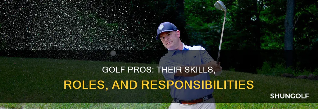 what is a golf professional