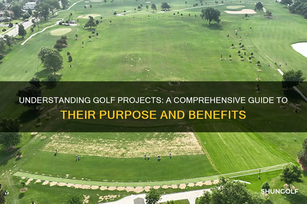 what is a golf project