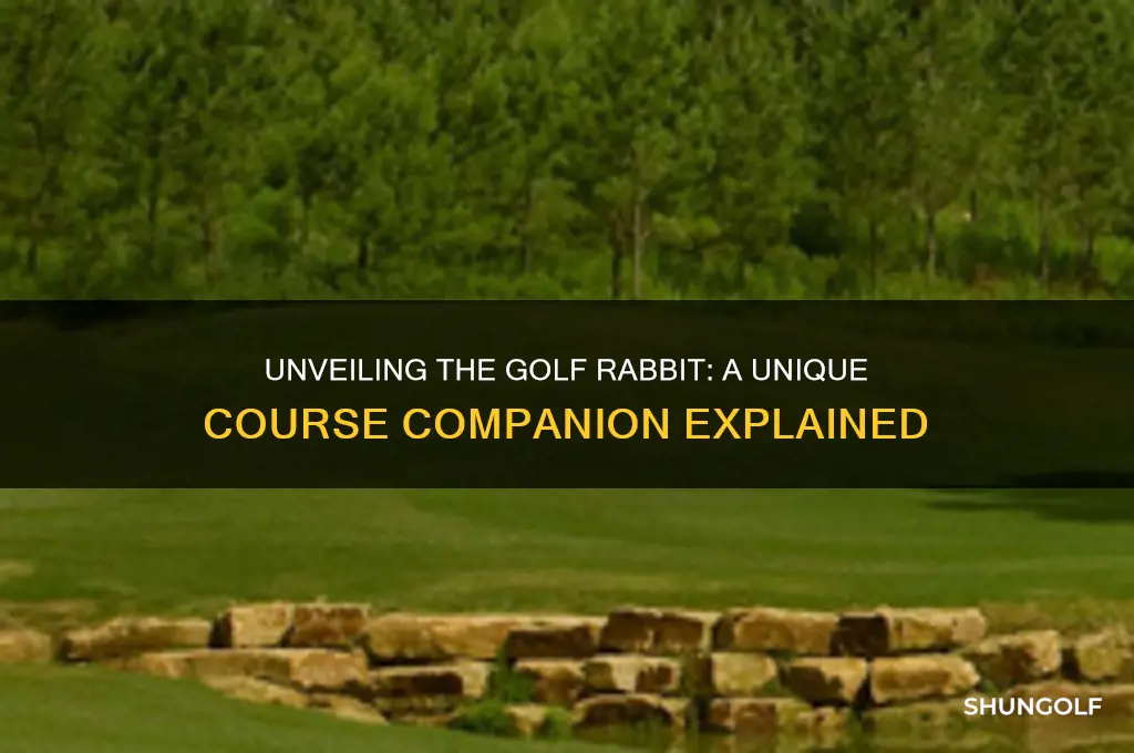 what is a golf rabbit