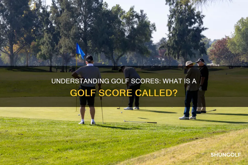 what is a golf score called