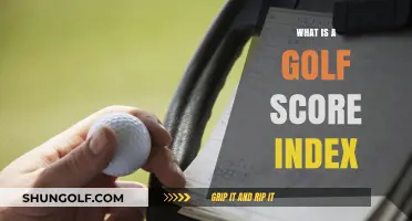 Understanding Your Golf Score Index: A Beginner's Guide to Handicap Calculation