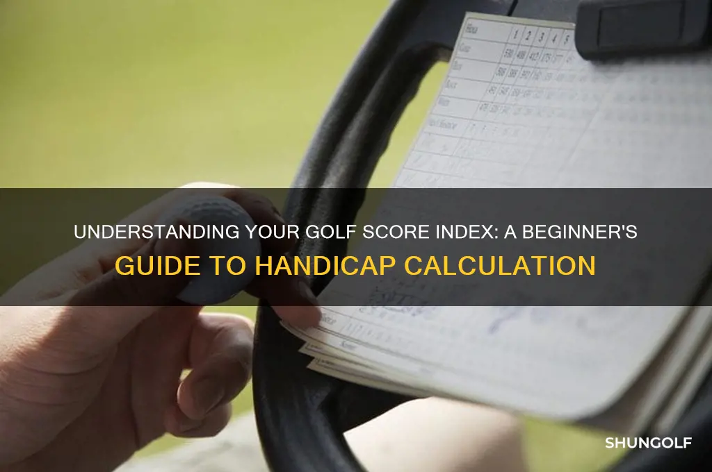 what is a golf score index