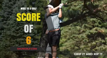Understanding the Significance of a Golf Score of Six