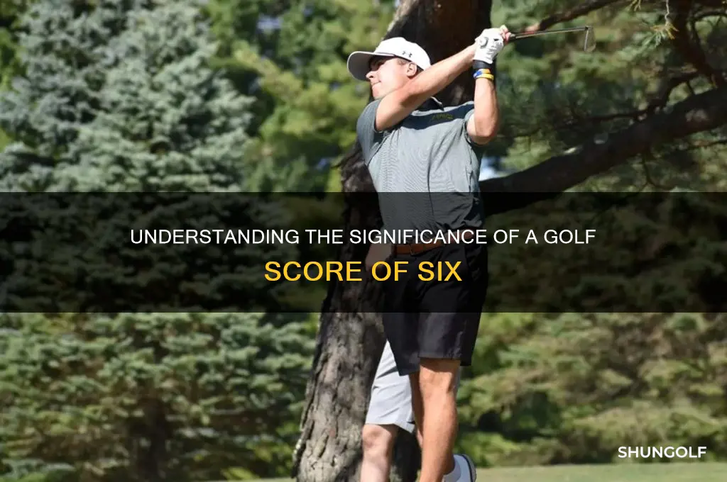 what is a golf score of 6