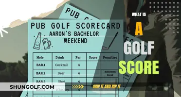 Golf Scores: Understanding the Game's Language