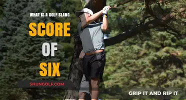 Understanding the Golf Slang Term for a Score of Six