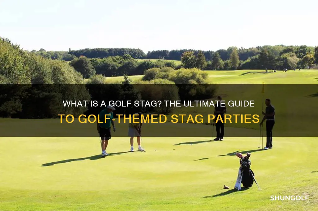 what is a golf stag
