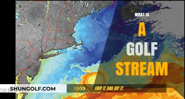 Understanding the Golf Stream: A Key Ocean Current Explained