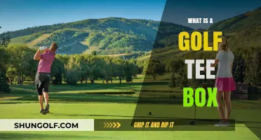 Understanding the Golf Tee Box: Purpose, Types, and Proper Usage