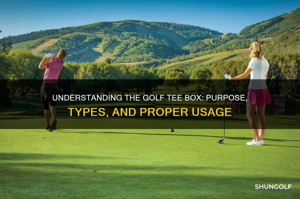 what is a golf tee box