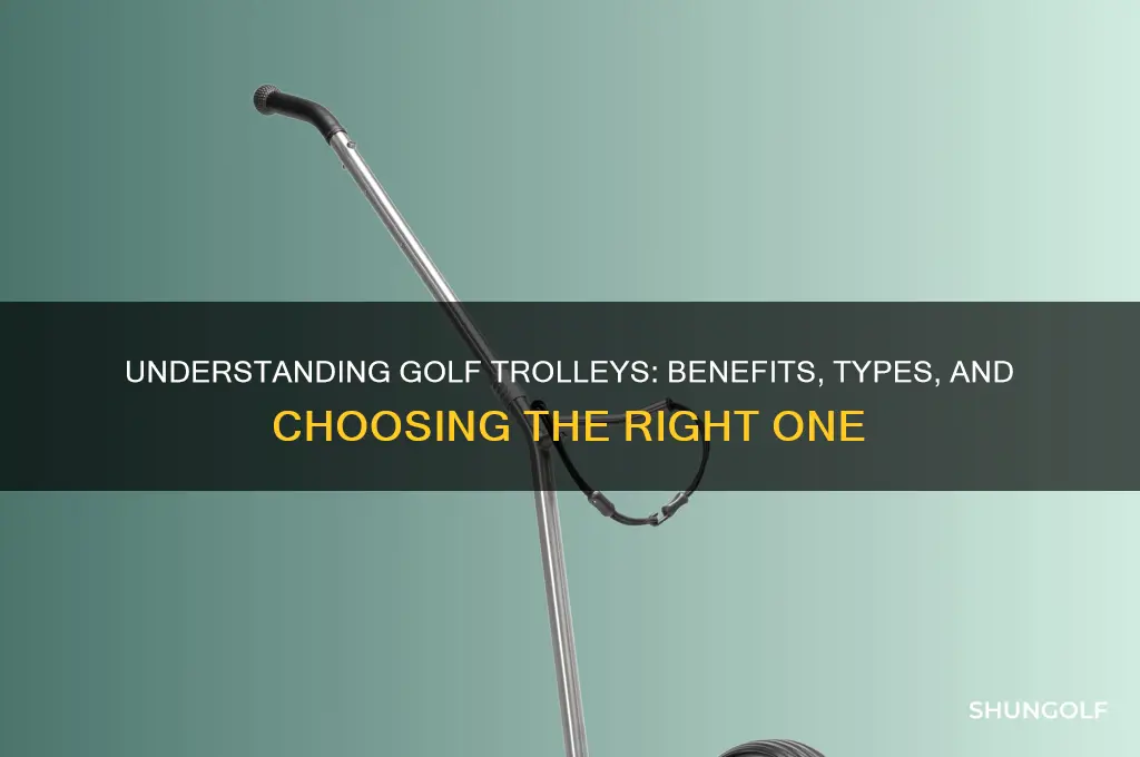what is a golf trolley