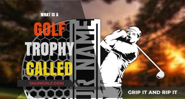 Unveiling the Name: What is a Golf Trophy Called?