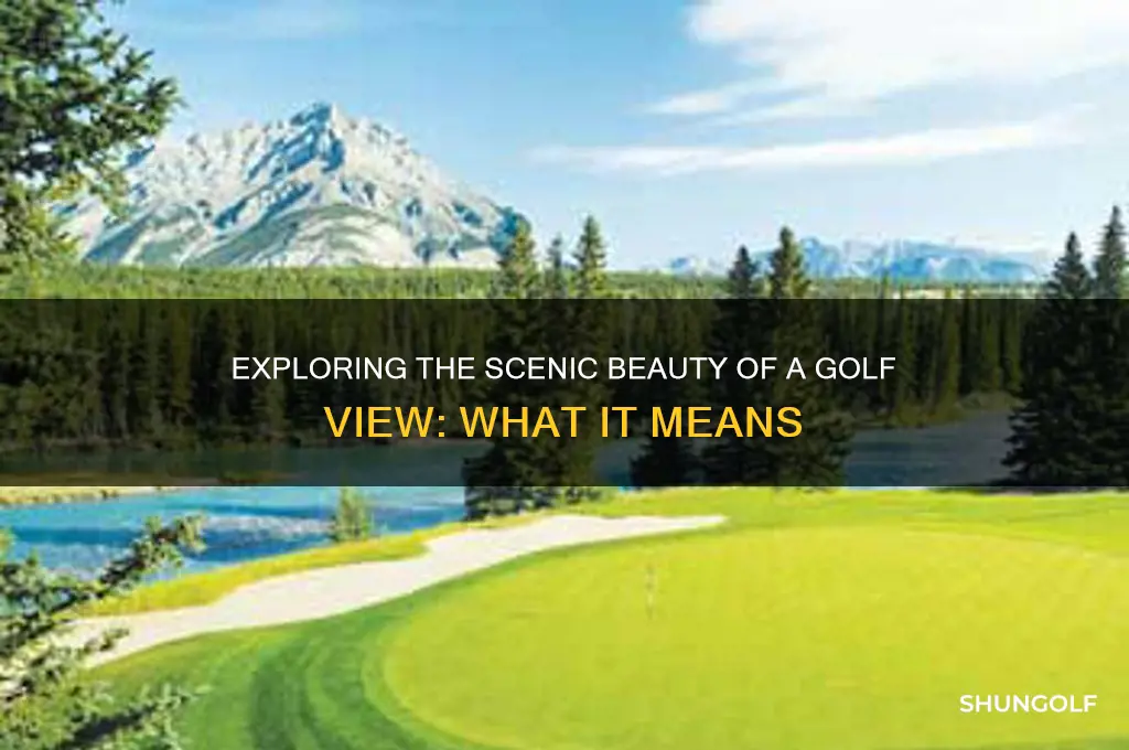 what is a golf view