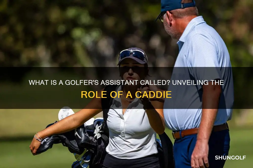 what is a golfer