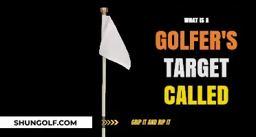 Understanding the Golfer's Target: What is the Flagstick and Cup Called?