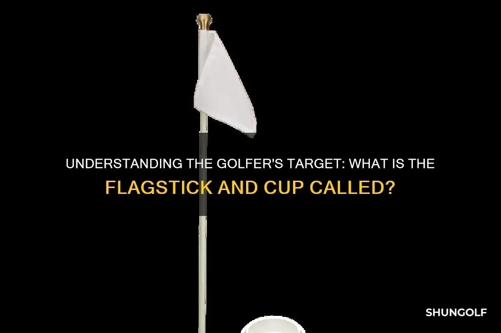 what is a golfer