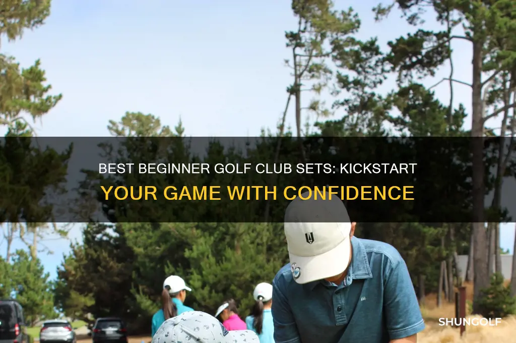 what is a good beginner golf club set
