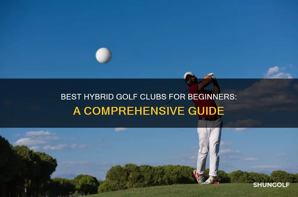 what is a good beginner hybrid golf club