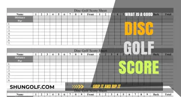 Mastering the Fairway: What Constitutes a Stellar Disc Golf Score?