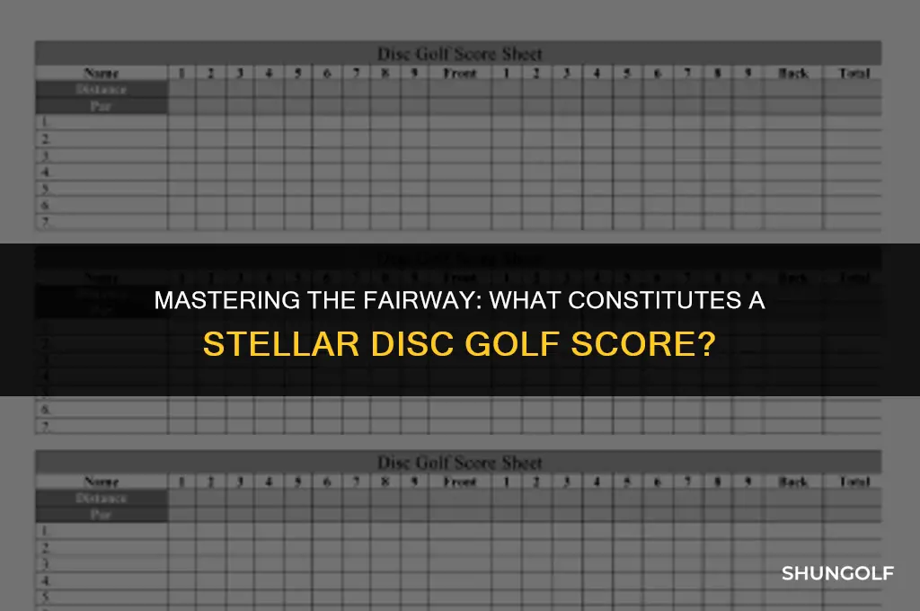 what is a good disc golf score