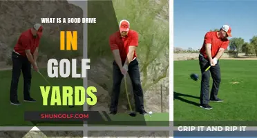 Unleashing Your Golf Potential: The Quest for the Perfect Drive