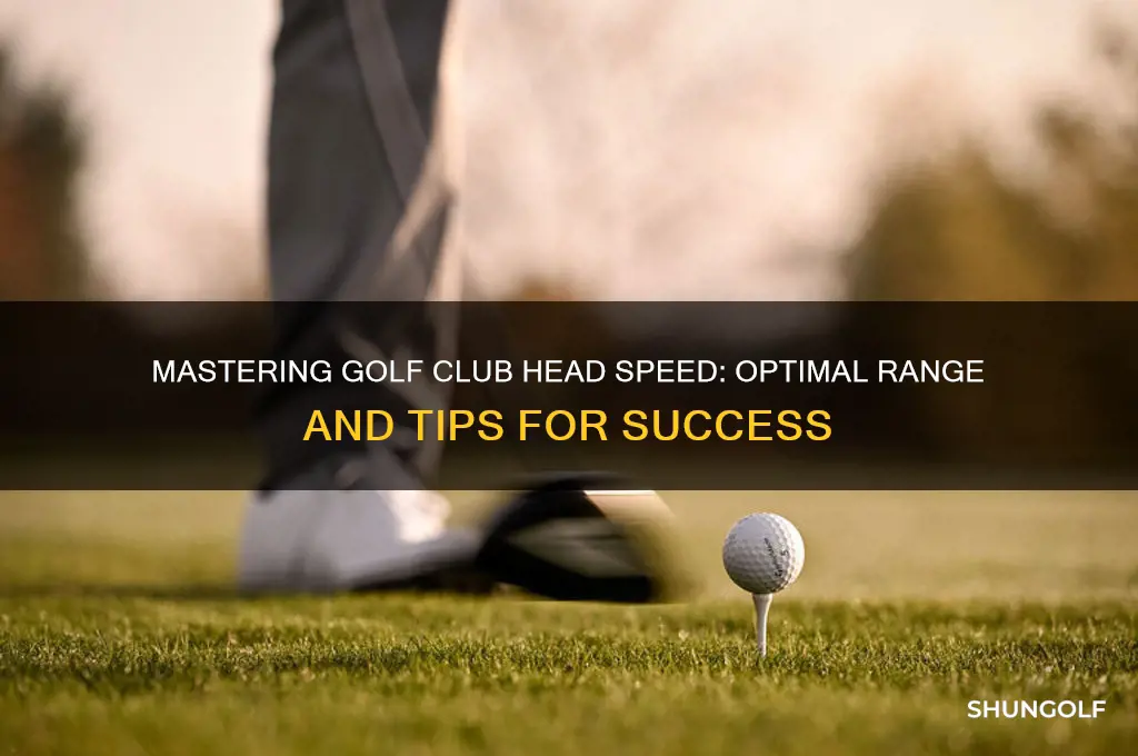 what is a good golf club head speed