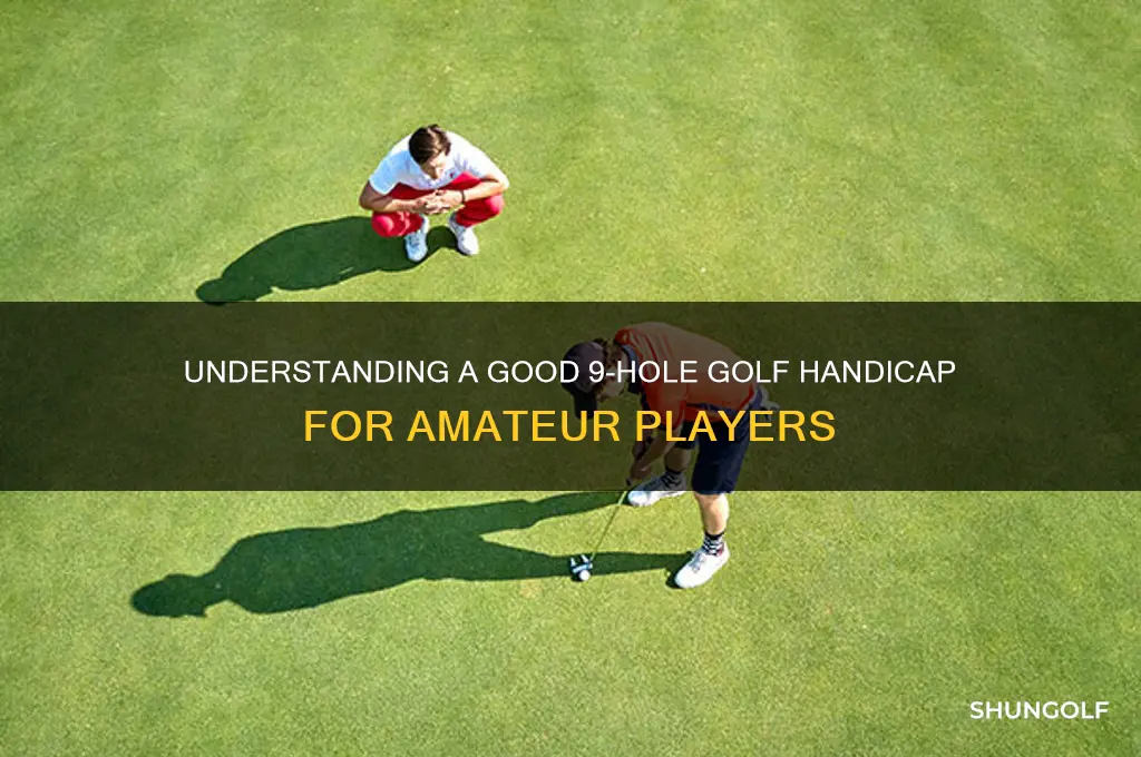 what is a good golf handicap for 9 holes
