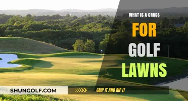 Understanding the Perfect Grass Types for Golf Lawns and Greens