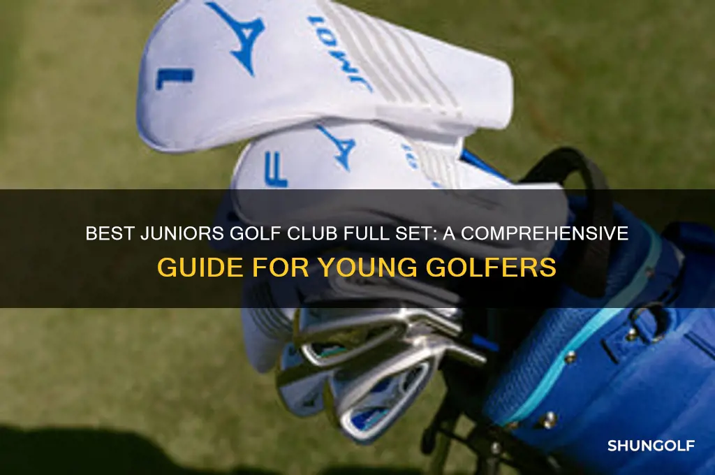 what is a great juniors golf club full set