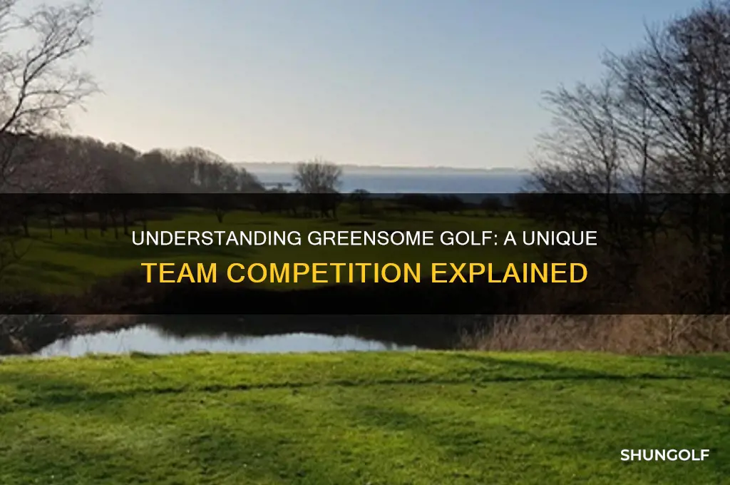 what is a greensome golf competition