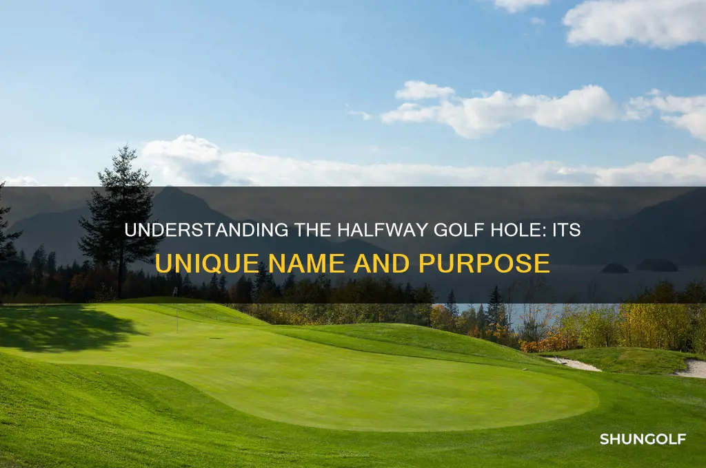 what is a halfway golf hole called