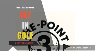 Understanding the Hammer Bet: A Unique Golf Wager Explained