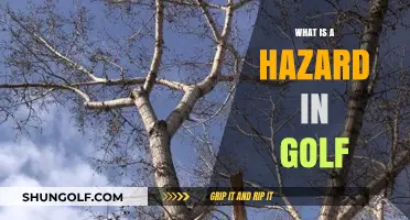 Understanding Golf Hazards: Types, Rules, and Strategic Play Explained