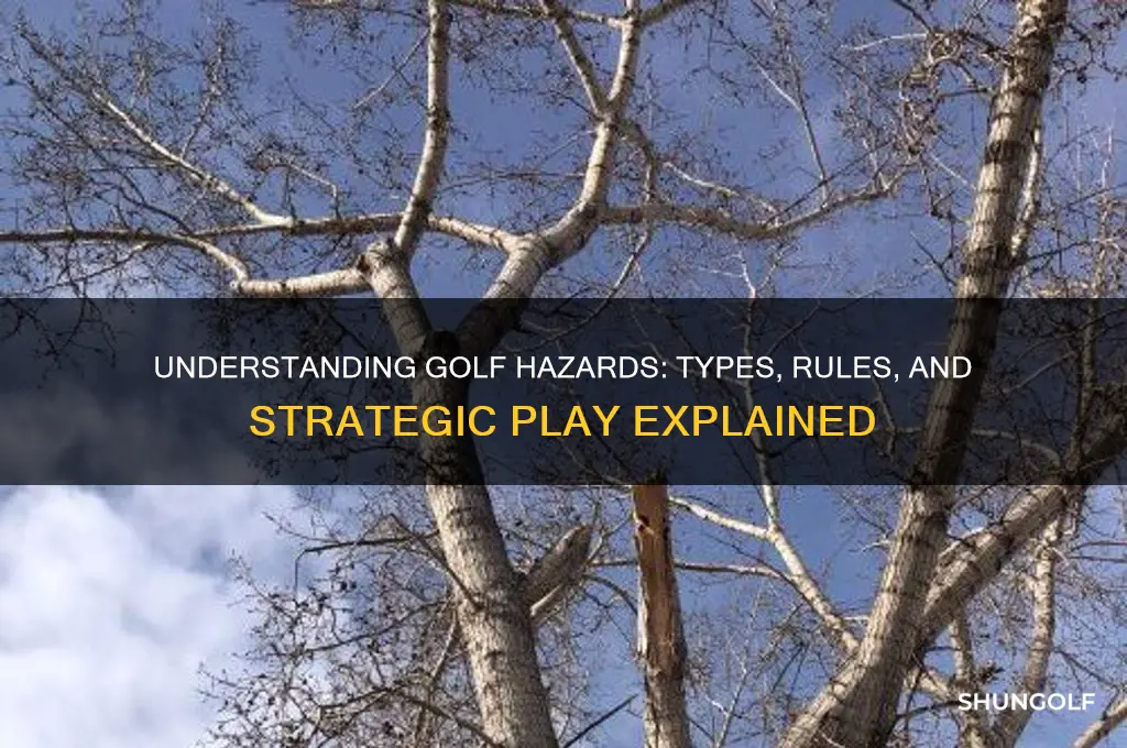 what is a hazard in golf