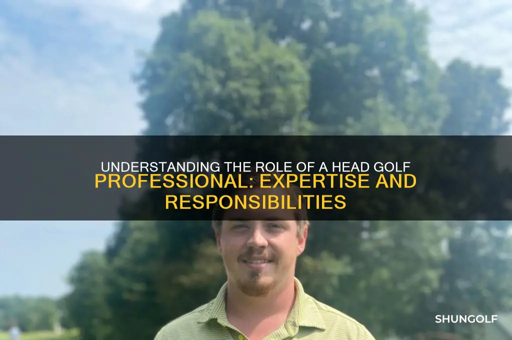 what is a head golf professional