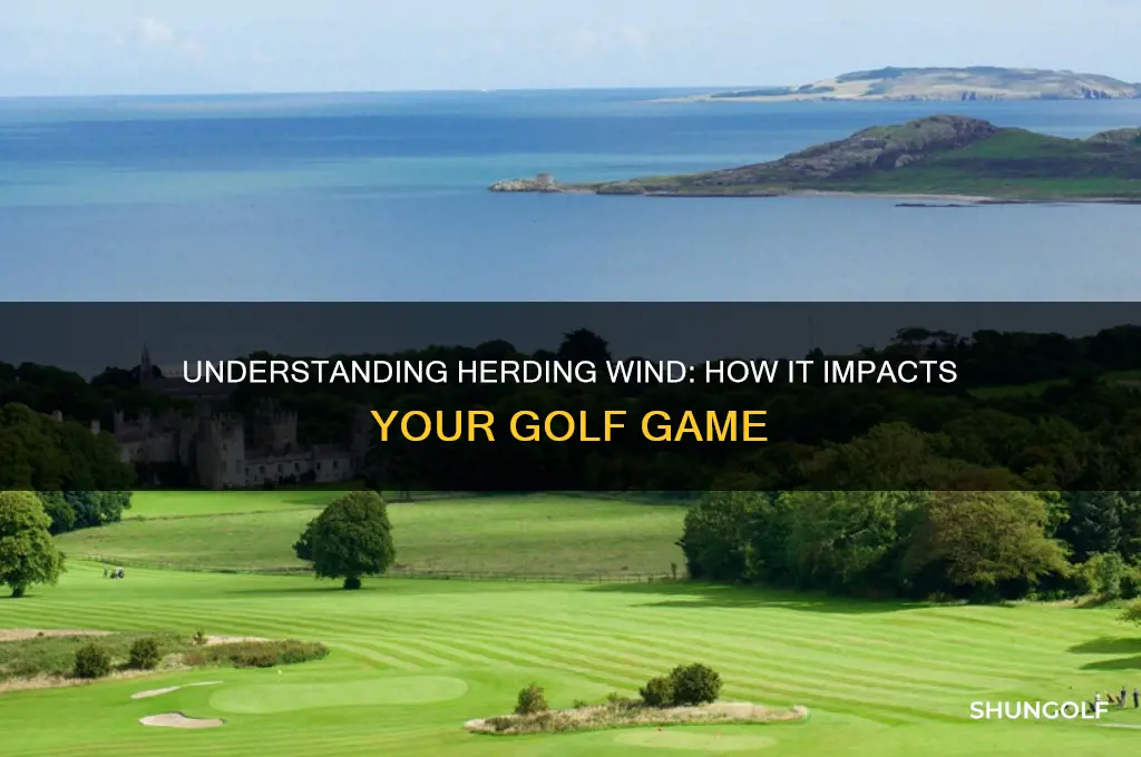 what is a herding wind in golf