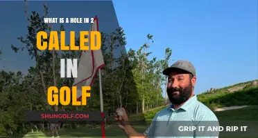 Understanding Golf's Unique Terminology: The Meaning of a Hole-in-Two