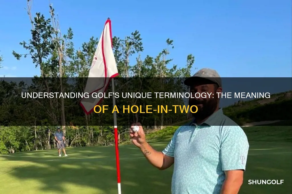 what is a hole in 2 called in golf