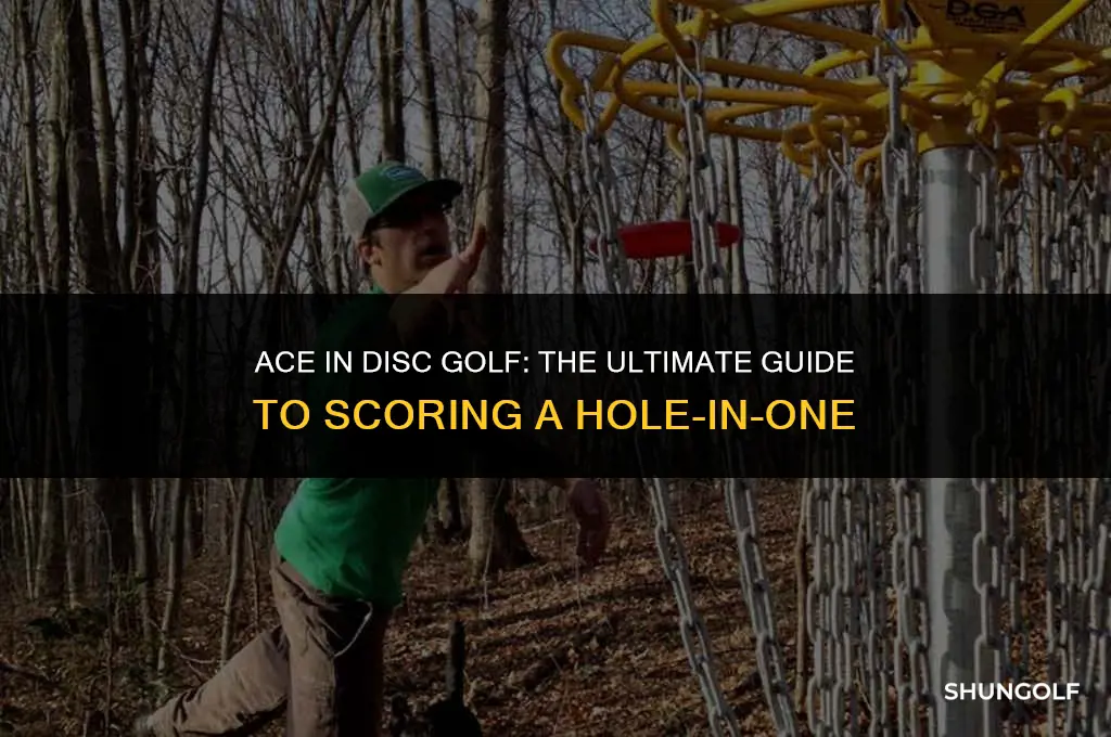 what is a hole in one called in disc golf