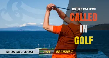 Ace in Golf: Understanding the Hole in One Phenomenon