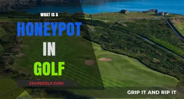 Understanding Golf's Honeypot: A Strategic Course Design Element Explained