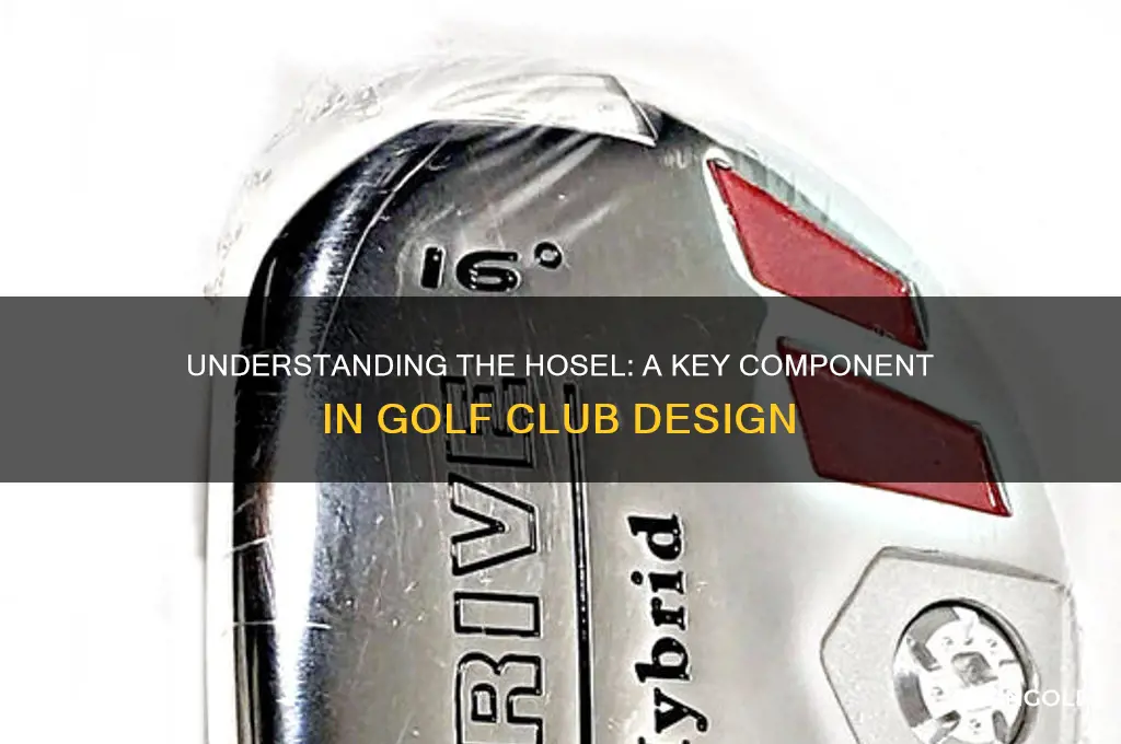 what is a hosel in golf