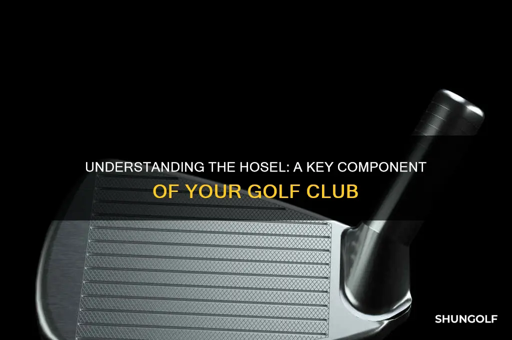 what is a hosel on a golf club