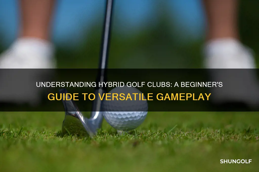 what is a hybrid for golf