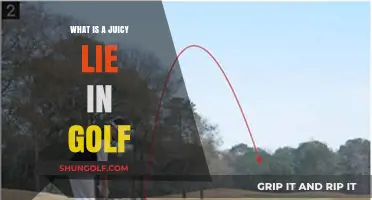 Unveiling Golf's Juicy Lie: Mastering the Art of Uneven Turf