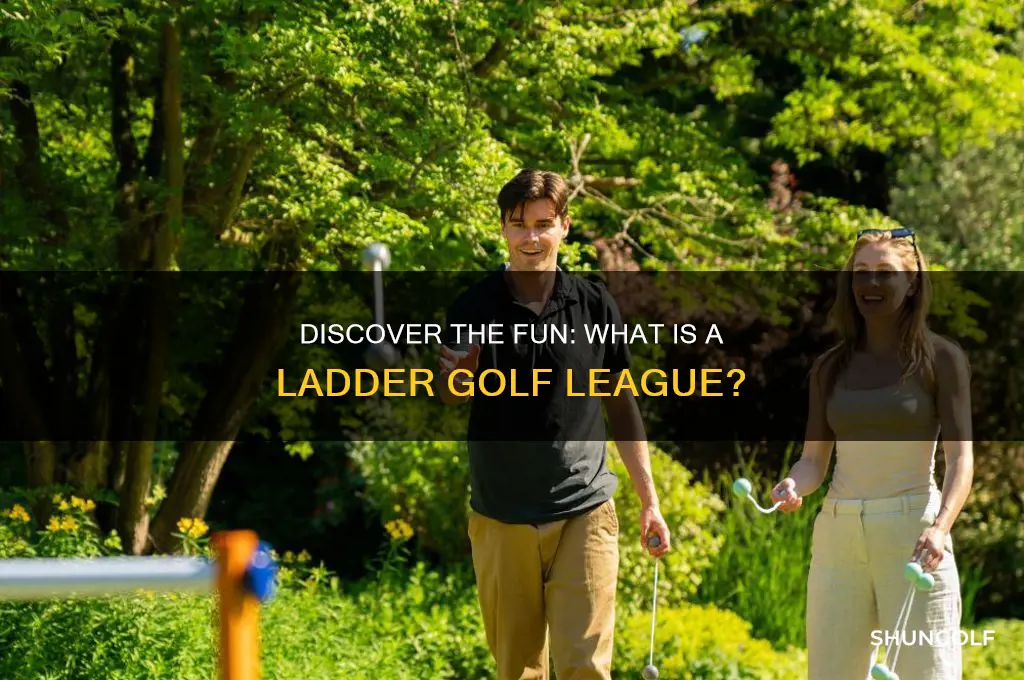 what is a ladder golf league