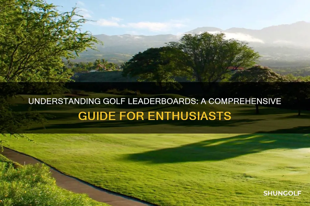 what is a leaderboard in golf