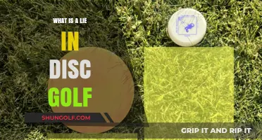 Unveiling the Myths: What Constitutes a Lie in Disc Golf?