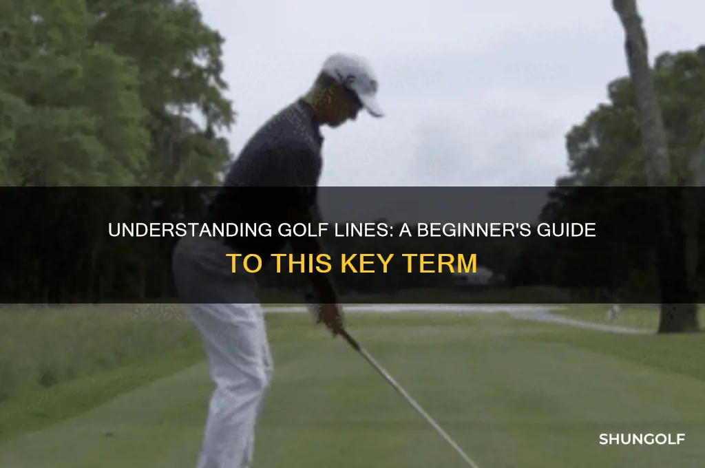 what is a line in golf terms