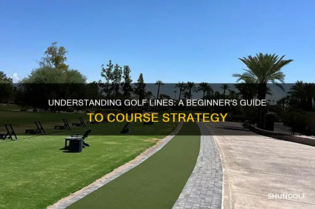 what is a line in golf